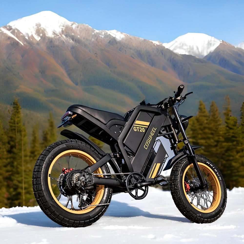 Coswheel Electric bike for Adu - огляд і ціна Motorcycle Gear Ratings